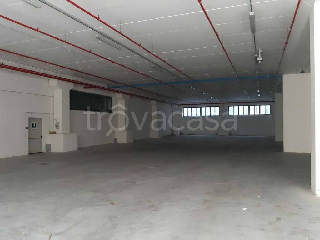 immagine annuncio 6 di 14