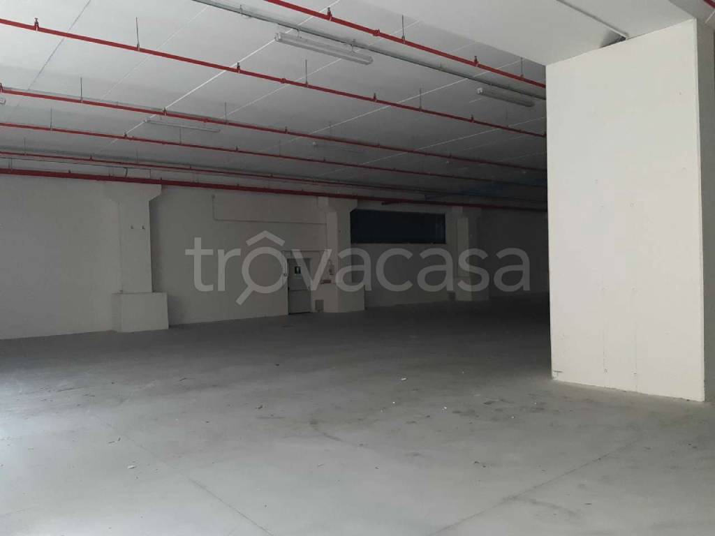 immagine annuncio 7 di 14