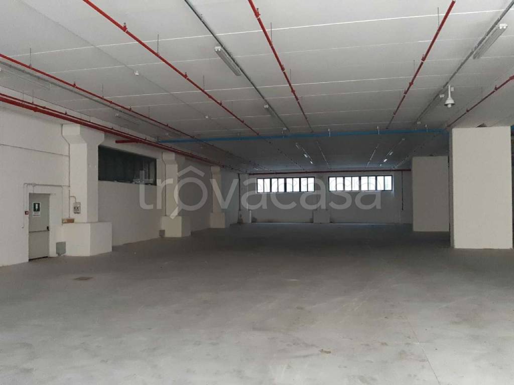 immagine annuncio 8 di 14