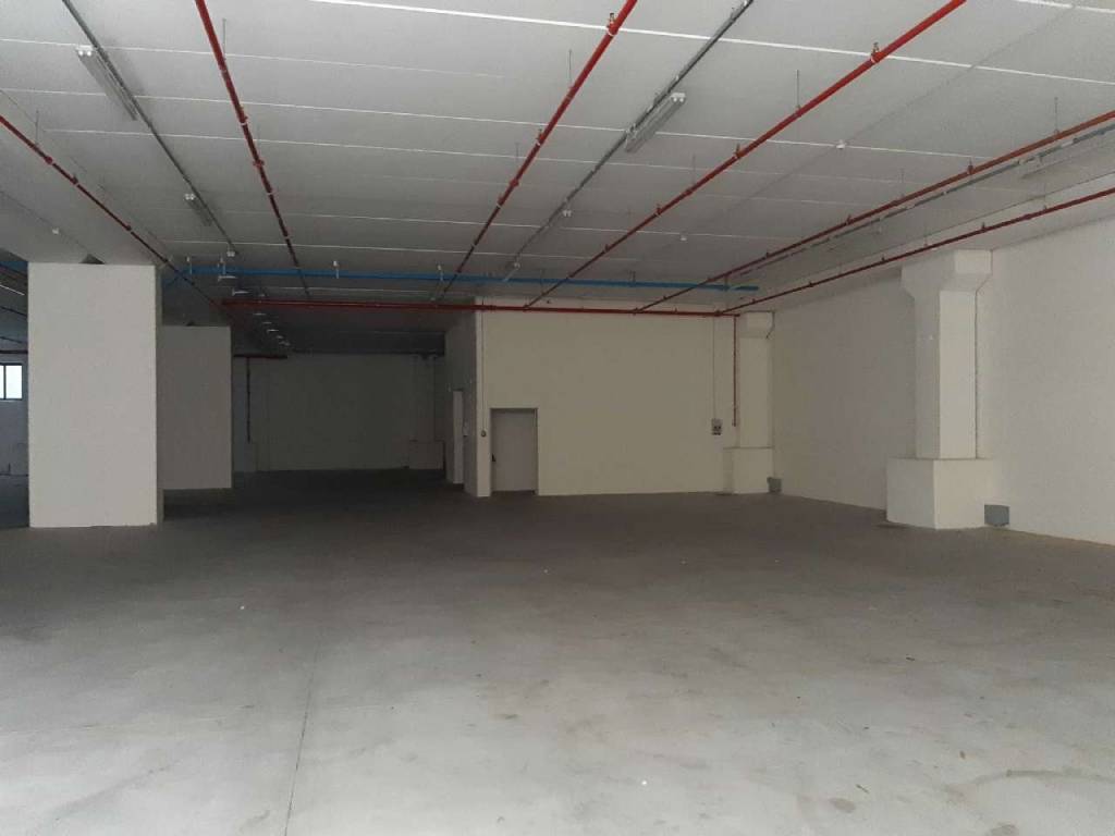 immagine annuncio 9 di 14