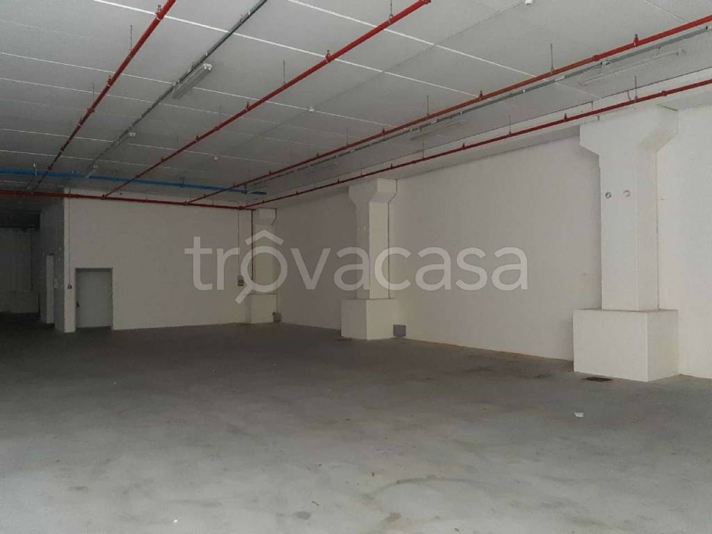 immagine annuncio 10 di 14