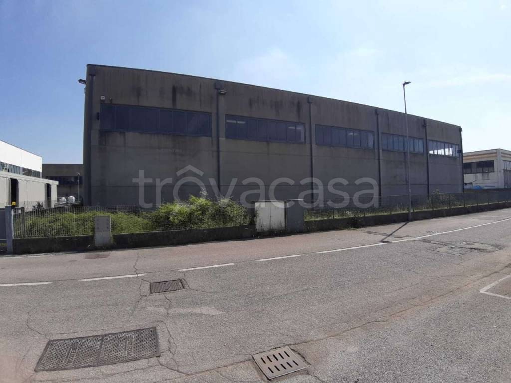 immagine annuncio 11 di 14