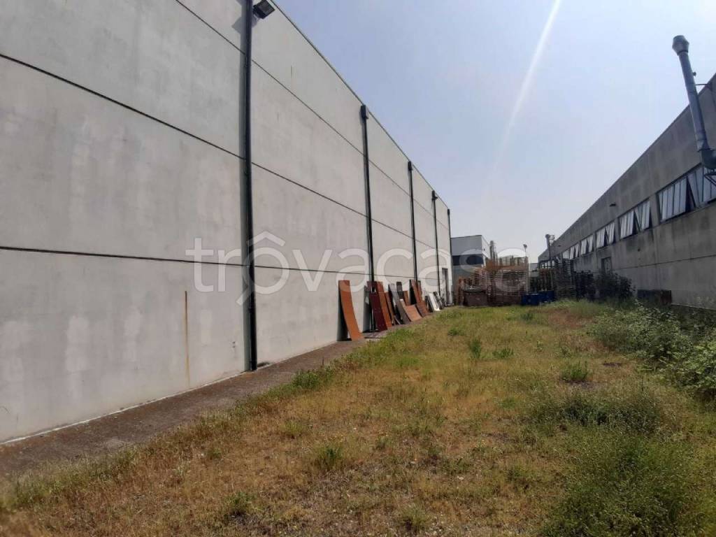 immagine annuncio 12 di 14