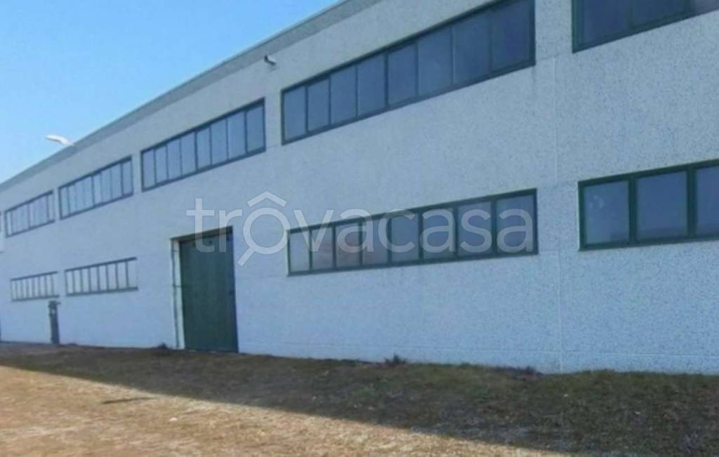 immagine annuncio 1 di 12