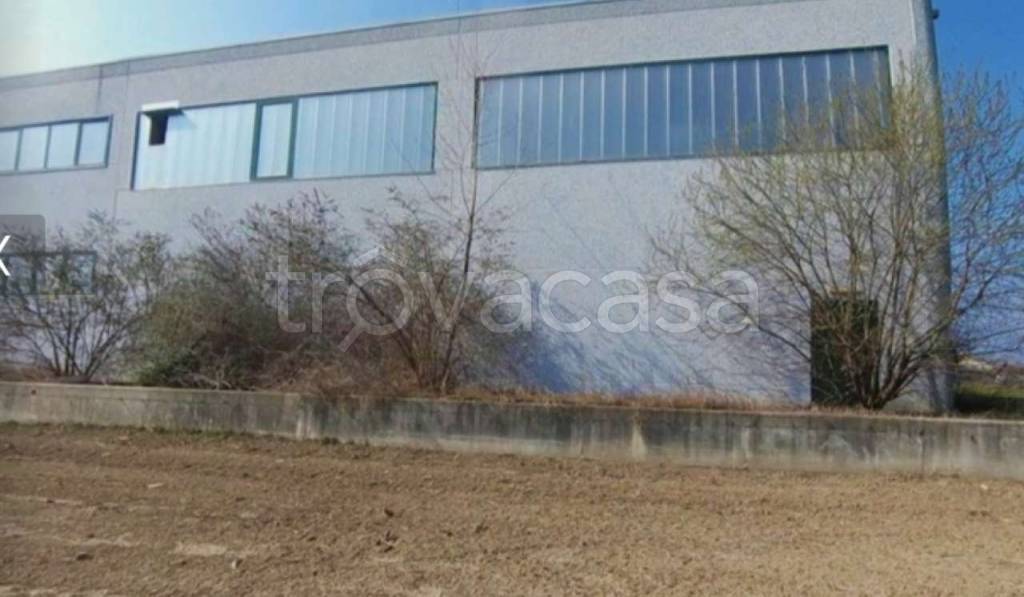 immagine annuncio 3 di 12