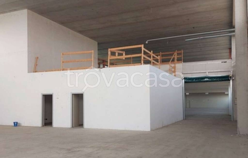 immagine annuncio 4 di 12