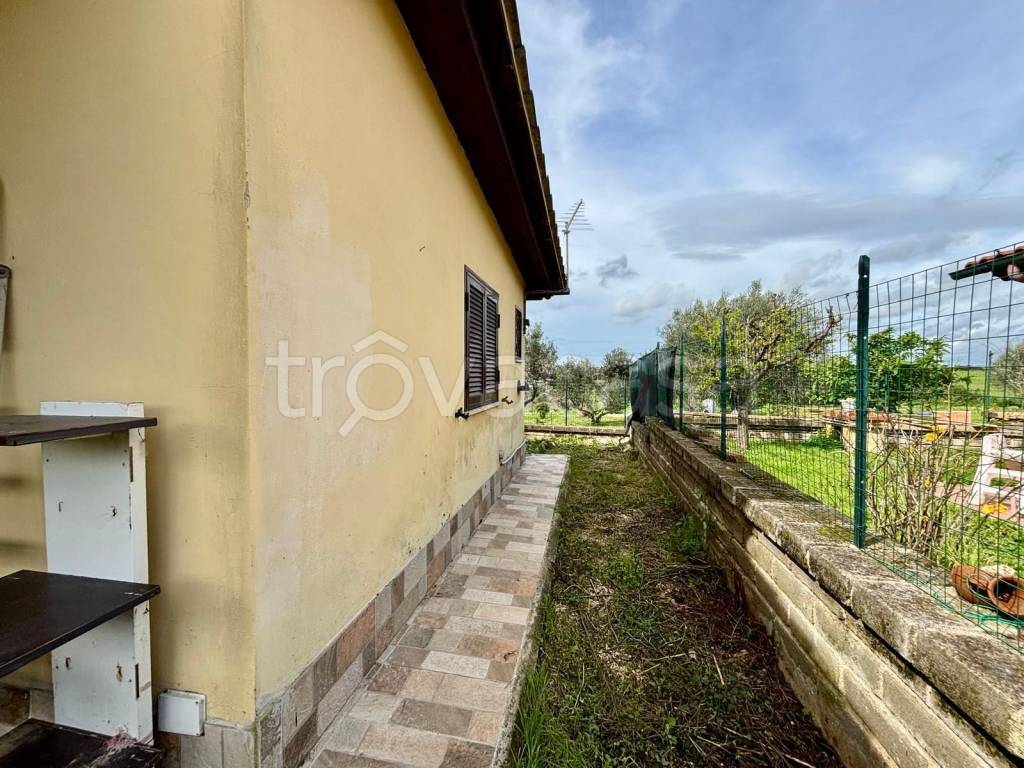 immagine annuncio 11 di 13