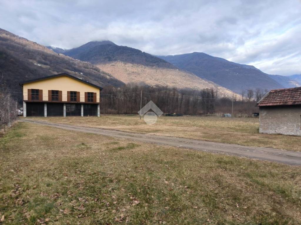 immagine annuncio 4 di 15