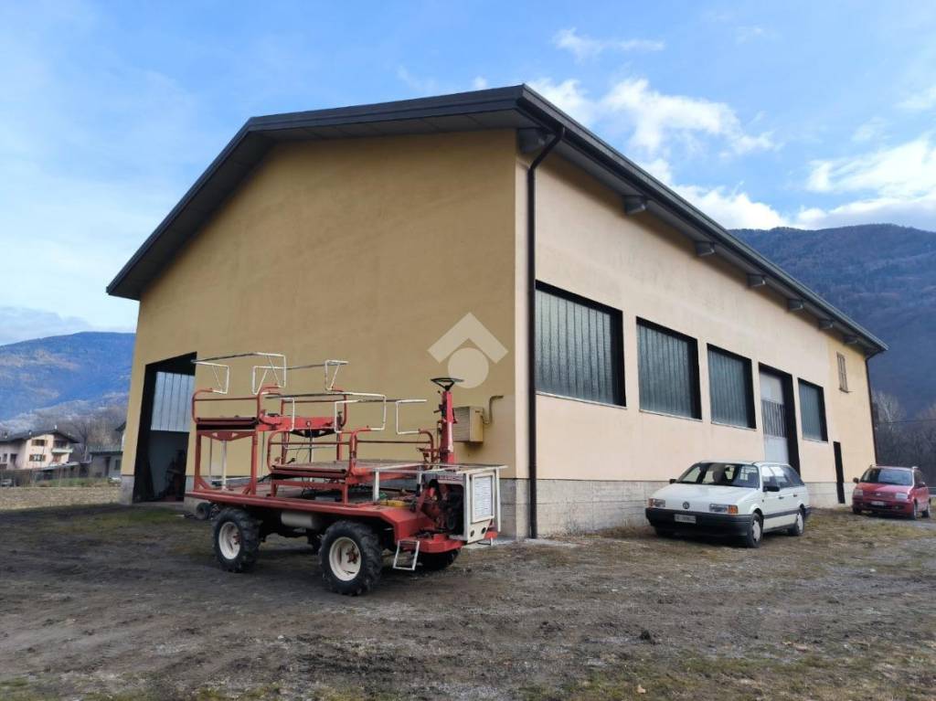 immagine annuncio 8 di 15