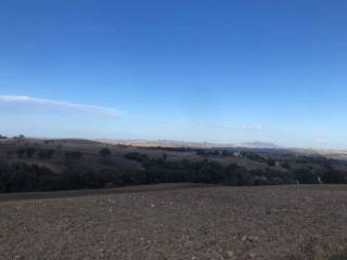 Terreno agricolo in vendita a treia 