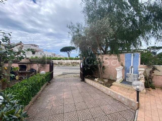 immagine annuncio 3 di 14