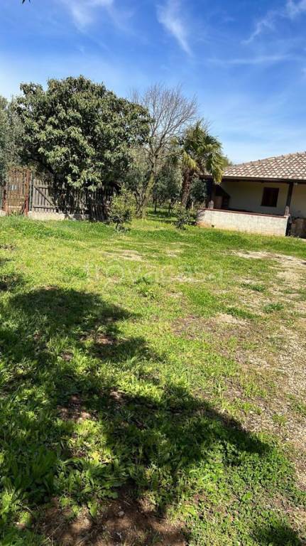 immagine annuncio 2 di 8