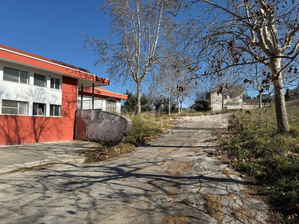 immagine annuncio 13 di 15