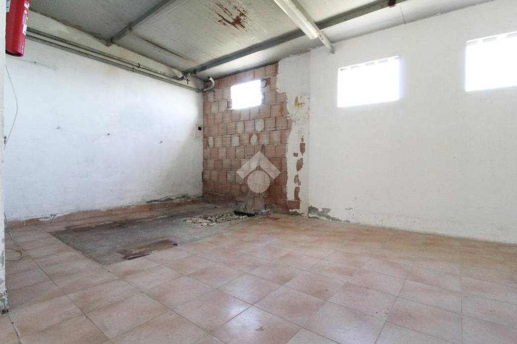 immagine annuncio 5 di 14