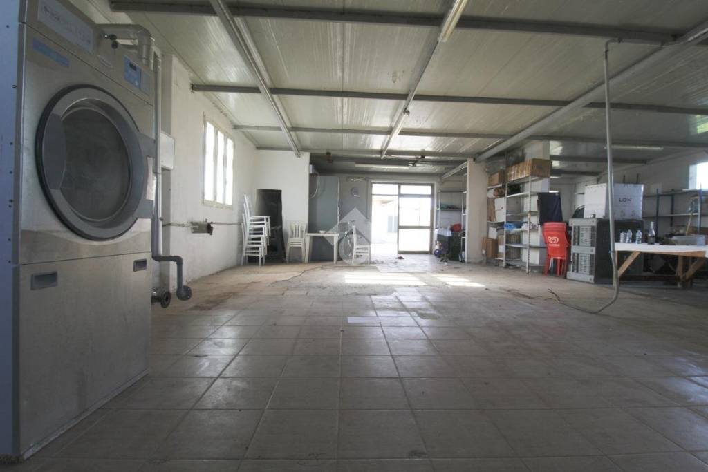 immagine annuncio 6 di 14