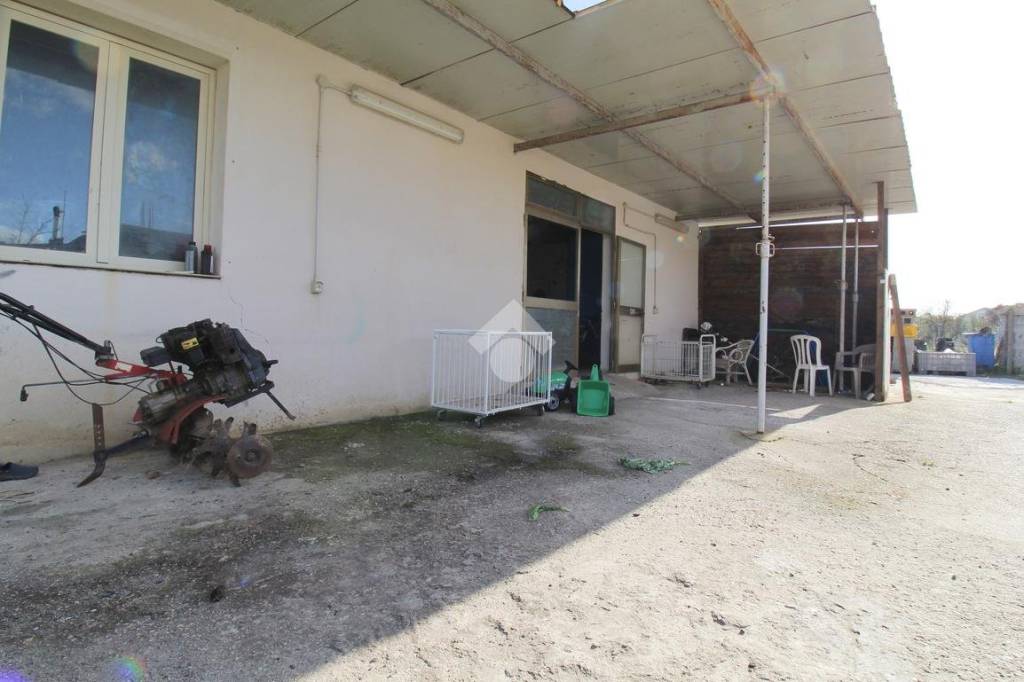 immagine annuncio 9 di 14