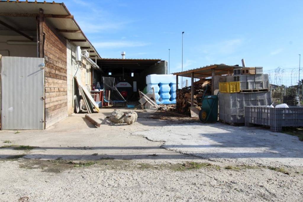 immagine annuncio 10 di 14