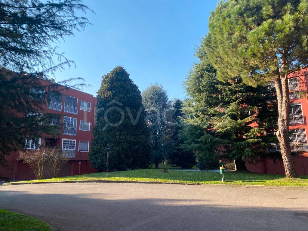 immagine annuncio 6 di 15