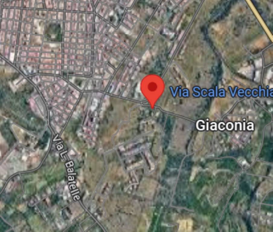immagine annuncio 6 di 12