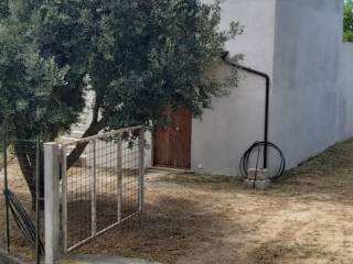 Rustico in in vendita da privato a belvedere marittimo contrada san nicola