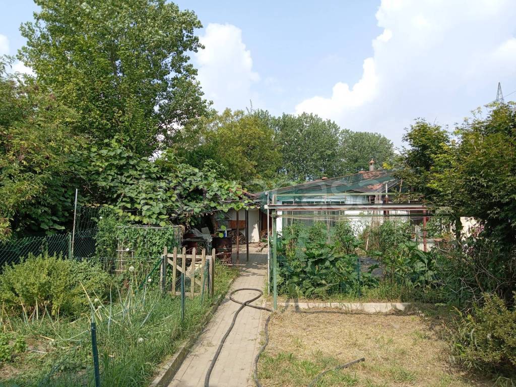 immagine annuncio 6 di 15