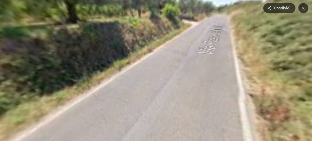 immagine annuncio 11 di 14