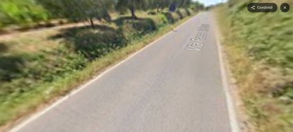 immagine annuncio 12 di 14
