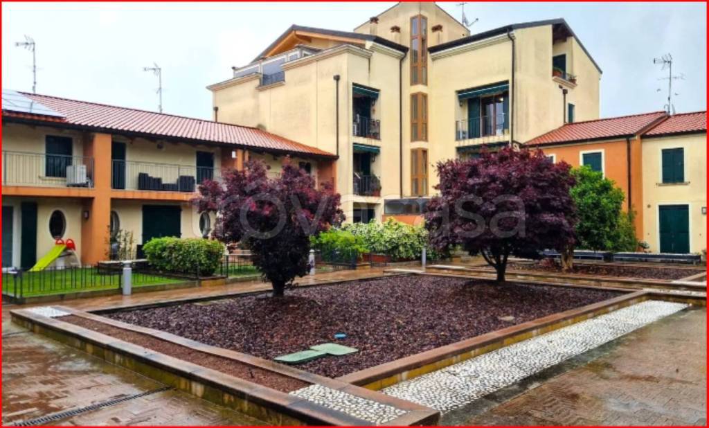 immagine annuncio 9 di 12