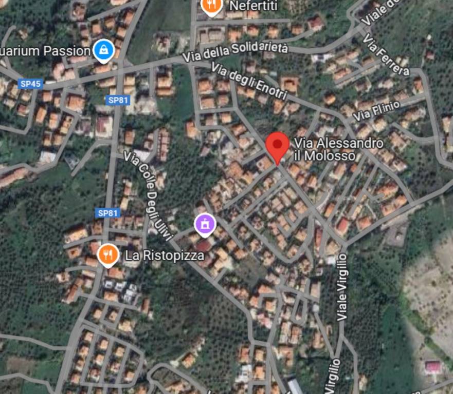 immagine annuncio 10 di 11