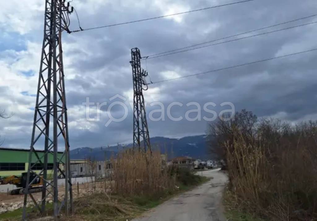 immagine annuncio 3 di 11