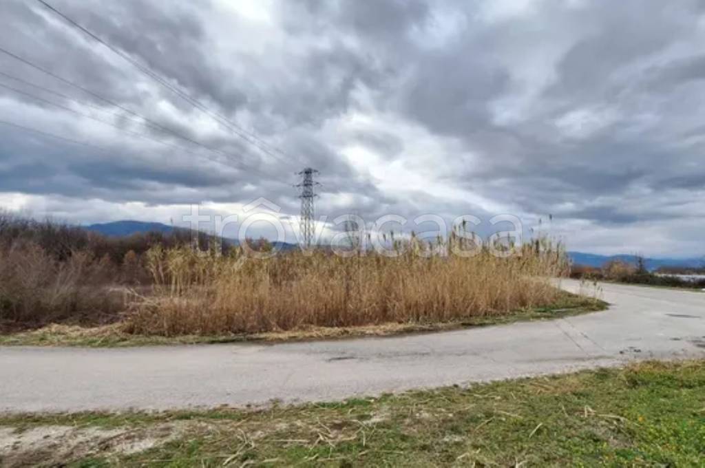 immagine annuncio 4 di 11
