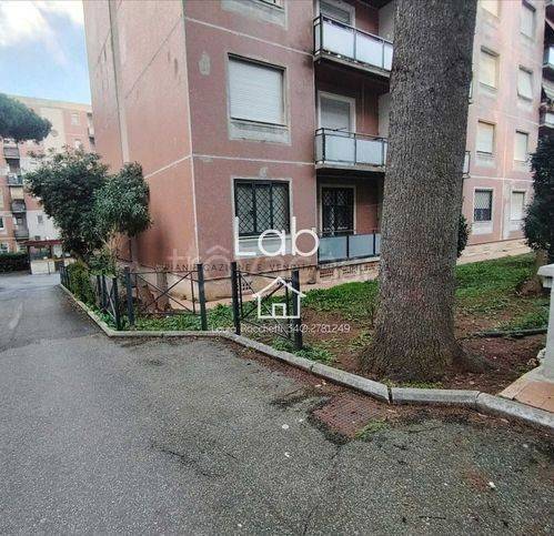 immagine annuncio 2 di 14