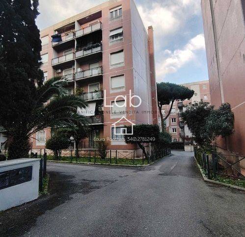 immagine annuncio 3 di 14
