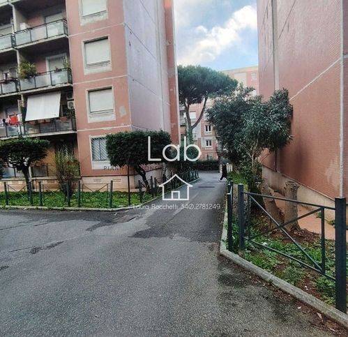immagine annuncio 5 di 14