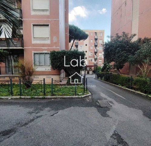 immagine annuncio 6 di 14