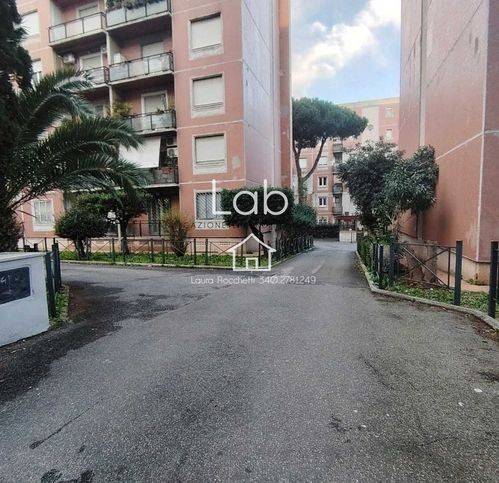 immagine annuncio 9 di 14