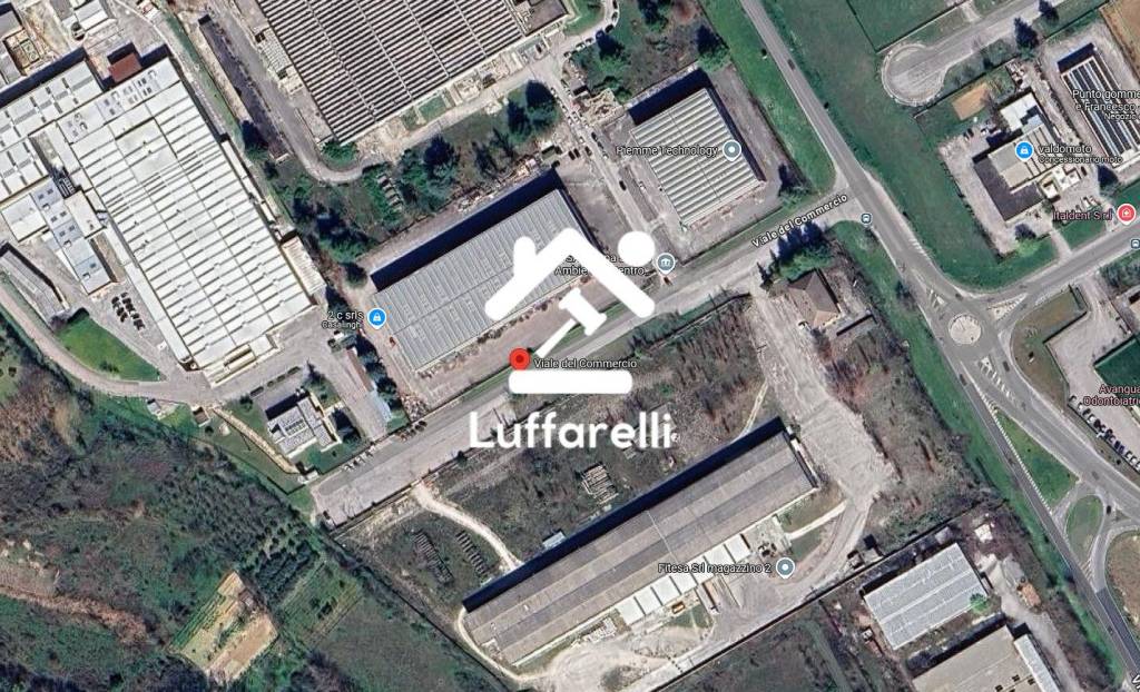 immagine annuncio 2 di 12