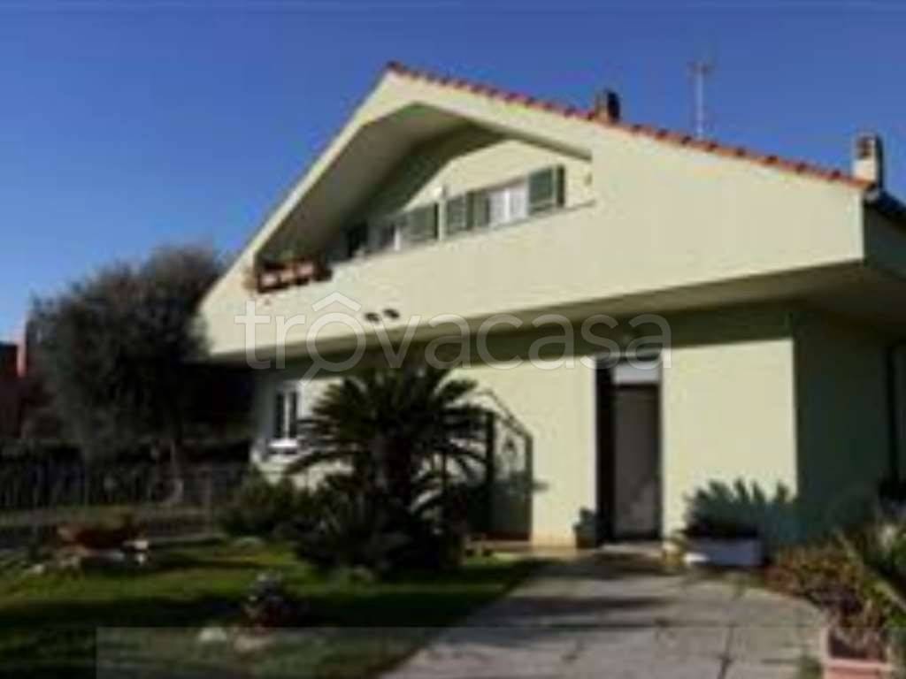 immagine annuncio 11 di 14