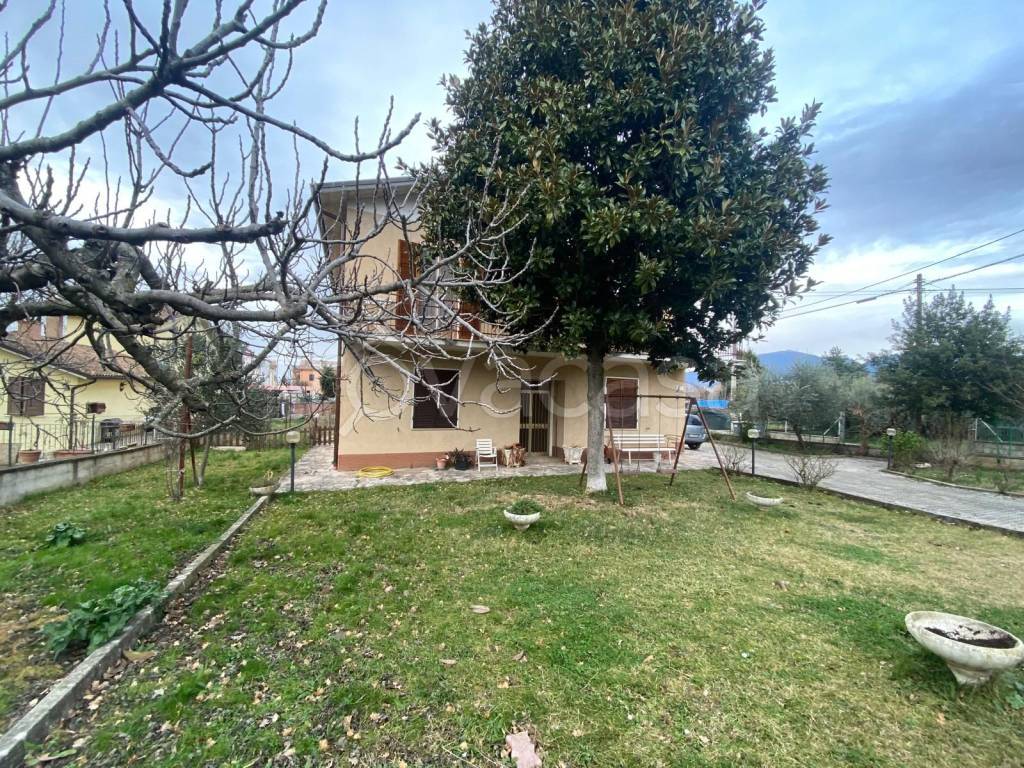 immagine annuncio 2 di 12