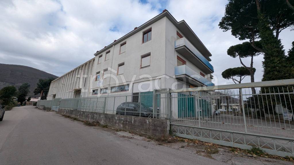 immagine annuncio 1 di 8