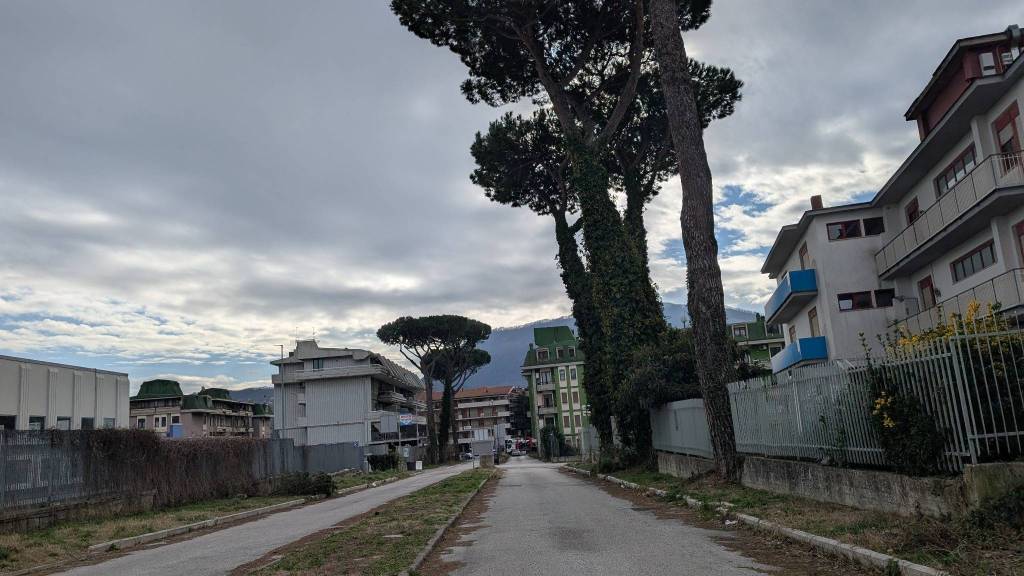 immagine annuncio 5 di 8