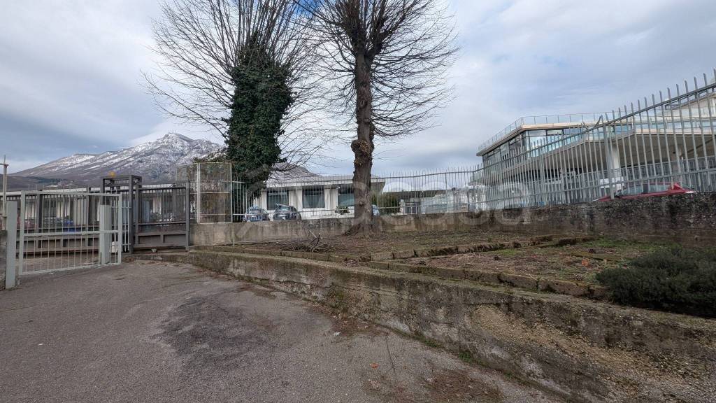 immagine annuncio 7 di 8