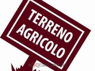 Terreno agricolo in vendita a forlì via ossi