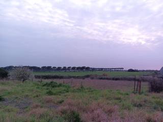 Terreno agricolo in vendita a roma 