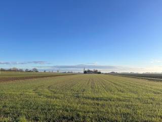 Terreno agricolo in vendita a budrio via riccardina mezzolara