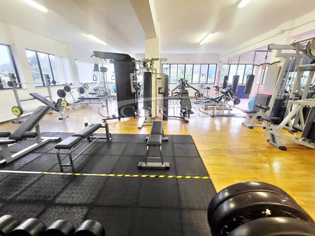 immagine annuncio 1 di 12