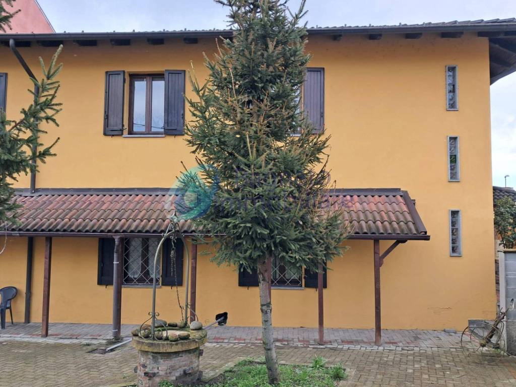 immagine annuncio 12 di 15
