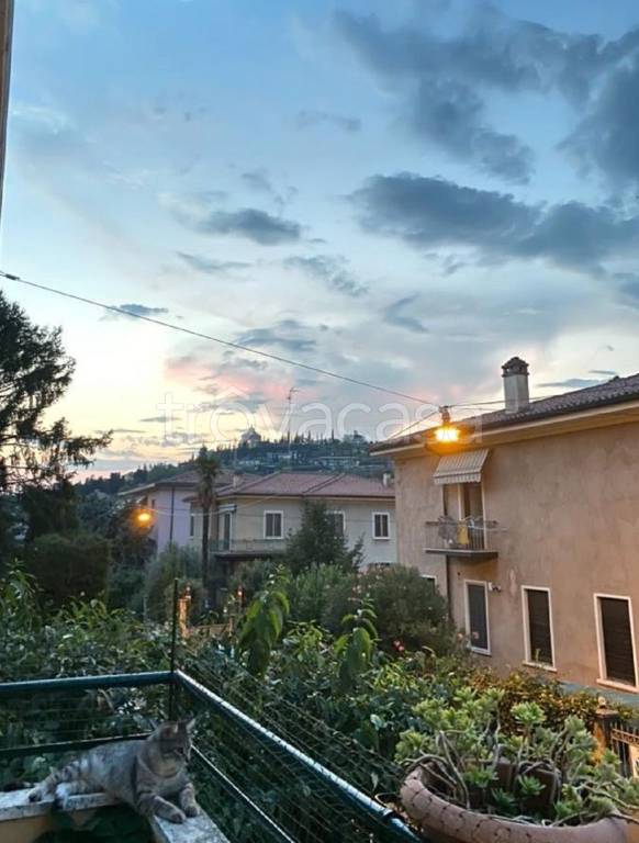 immagine annuncio 7 di 12