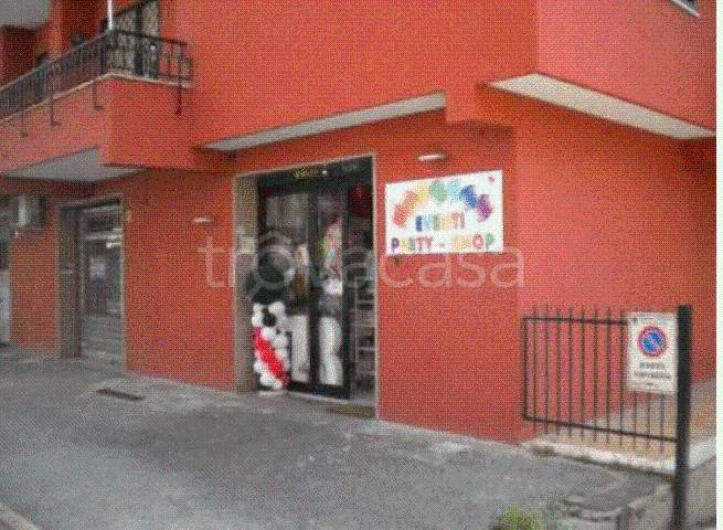 immagine annuncio 12 di 14