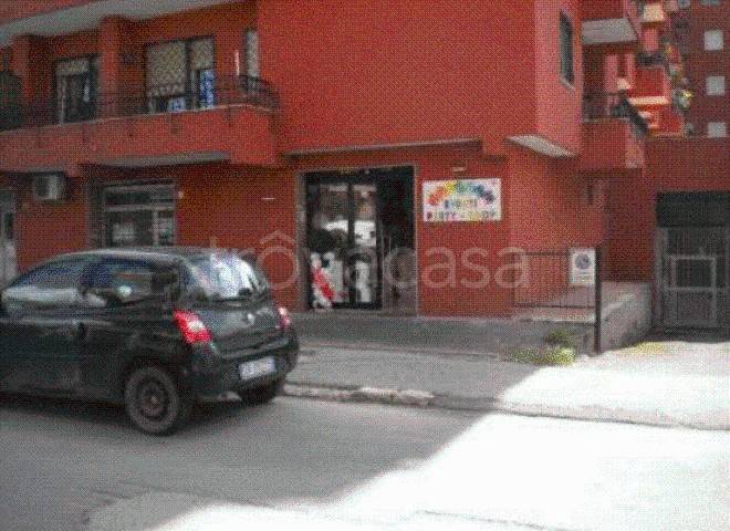 immagine annuncio 13 di 14